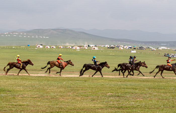 Nomadic Horse Racing - Naadam